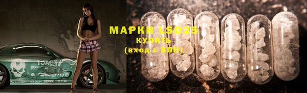 шишки Майский