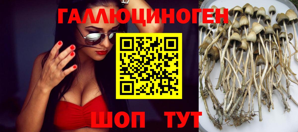 МЕФ кристаллы  Каннабис  ГАШ  Купить наркотик  COCAIN  Новоуральск  Лсд 25  Вход с VPN  ГЕРОИН 